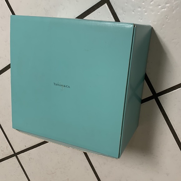 Tiffany & Co. Set 4 NEW Etched Champagne Flutes Glasses Original Blue Gift Box - Picture 5 of 5